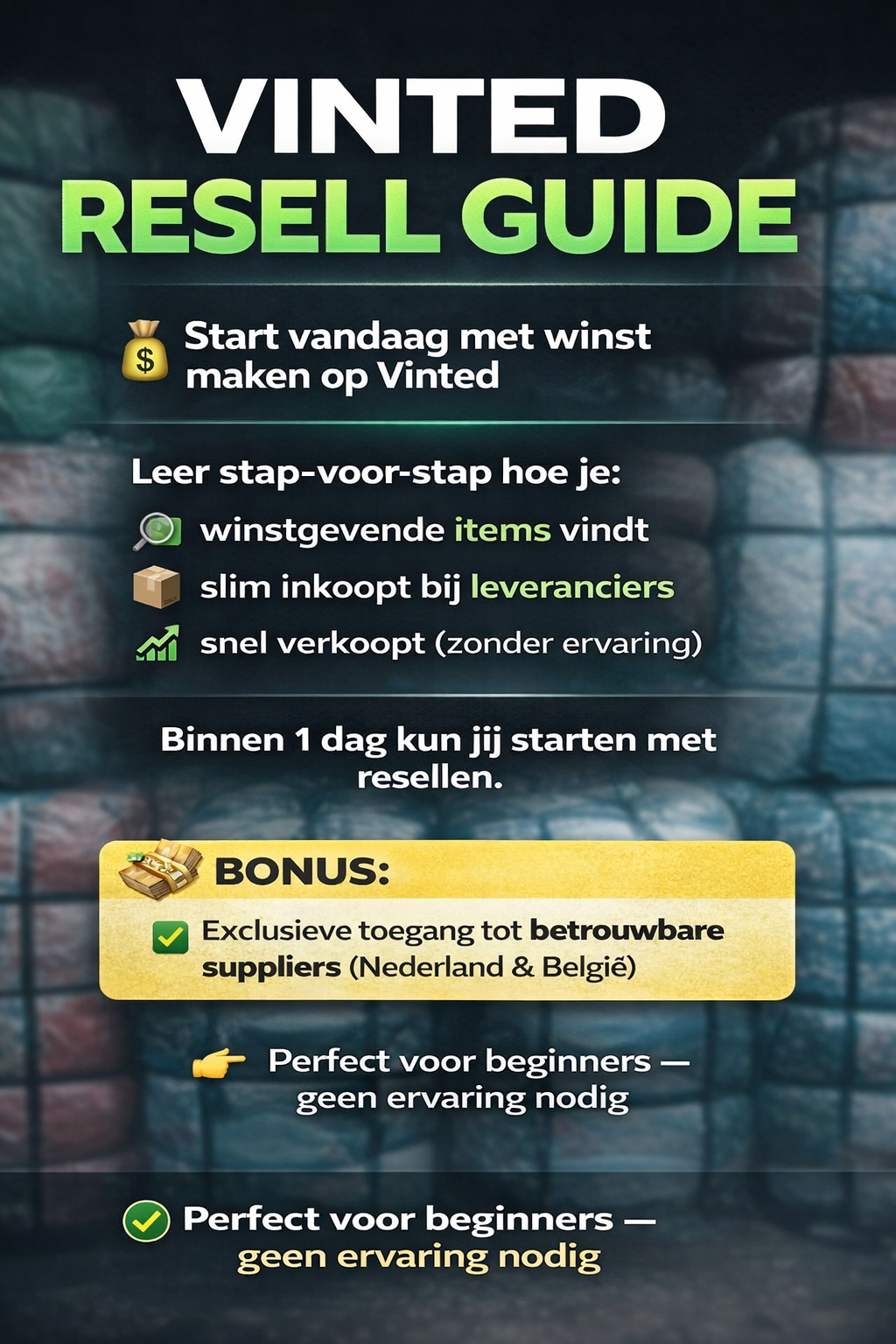 VINTED GUIDE + BESTE SUPPLIER